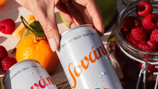 Why Organic Sparkling Water Should Be Your New Year’s Resolution (Ditch Added Sugar In The New Year)